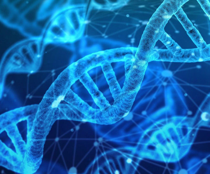 DNA Analysis